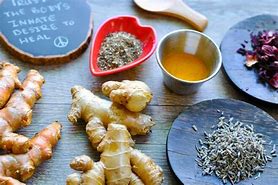 Image result for Herbs for Candida Overgrowth