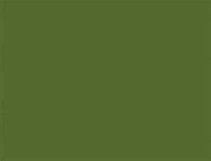 Image result for Verge Olive Green