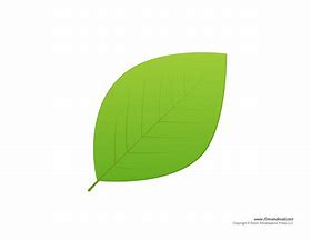 Image result for Free Printable Green Leaves