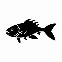 Image result for Fish Images HD Vector