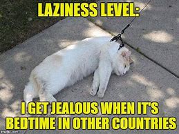 Image result for My Level of Lazy Meme