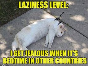 Image result for Funny Lazy Pics