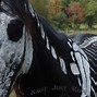 Image result for SCP Skeleton Horse