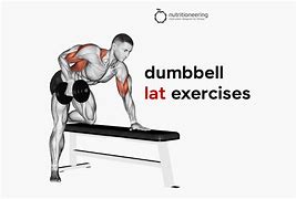 Image result for Dumbbell Back Squat