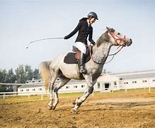 Image result for Riding Fast Horse with Sombraro On