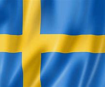 Image result for Svensk Flag