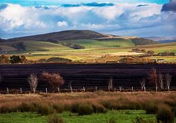 Image result for Carbon in Peat Bog