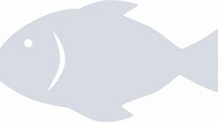 Image result for Fanfin Angler Fish