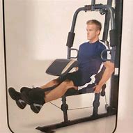 Image result for Seated Leg Extension Exercise