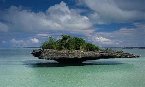 Image result for Aldabra Atoll Seychelles