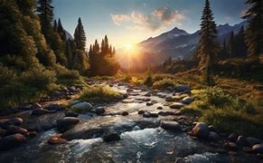 Image result for Mountain Forest Scenery