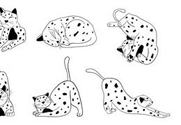 Image result for Kitty Line Drawing