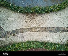 Image result for Garden Path Top View