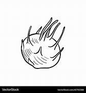 Image result for Kohlrabi Drawing