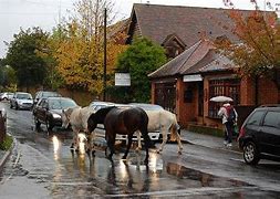 Image result for Brockenhurst Hotels Map