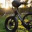 Image result for Fat Tire Trike