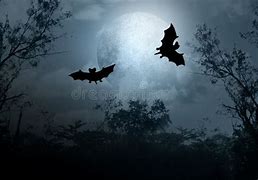 Image result for From Window Night Sky with Bats