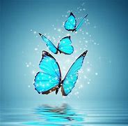 Image result for Butterfly Wallpaper Blue Desktop Computer