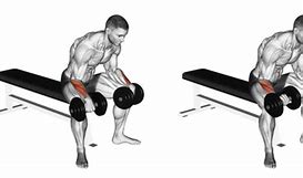 Image result for Big Forearm Exercises