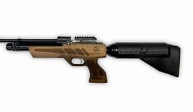 Image result for PCP Sniper Rifle