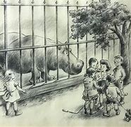 Image result for Zoo Drawing