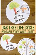 Image result for Life Cycle Preschool Art