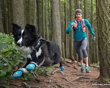 Image result for Dog Hiking Boots