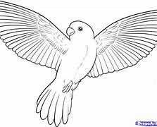 Image result for 2 Birds Flying Drawing