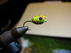 Image result for Fly Fishing with Poppers for Bluegills