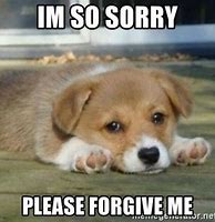 Image result for Sorry but No Meme