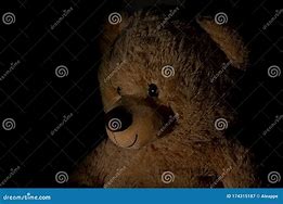 Image result for Teddy Bear Black Background