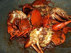 Image result for Ketam Bangkang