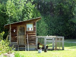 Image result for Back Yard Chicken Co-op Ideas