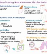 Image result for Mycobacterium Species