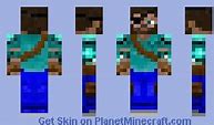 Image result for Survivor Steve Minecraft Skin