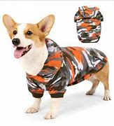 Image result for Corgi in Clothes