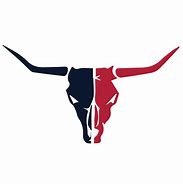 Image result for Houston Texans Logo Transparent Background