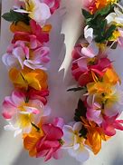 Image result for Hawaiian Flower Lei