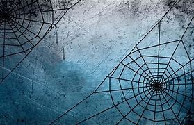 Image result for Halloween Spider Web Background