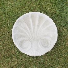 Image result for Sea SHELL Top