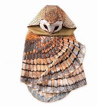 Image result for Night Owl Costume