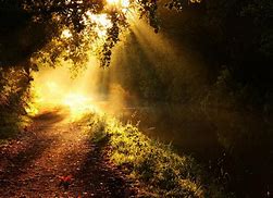 Image result for Sunny Morning Bing Wallpaper