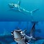 Image result for Black Fish From Nemo