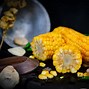 Image result for Dog Eating Corn