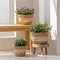 Image result for Unique Indoor Plant Pots