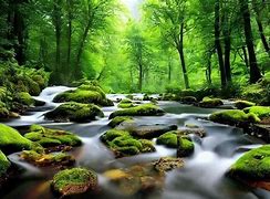 Image result for Dynamic Nature Themed Wallpaper