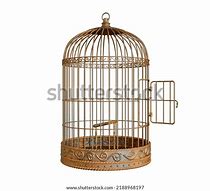 Image result for Ice Bird Cage