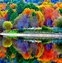 Image result for Beautiful Fall Scenery Wallpaper