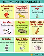 Image result for I Say Animal