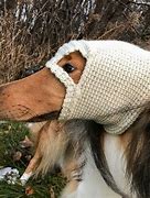 Image result for Dog with Ski Mask Meme